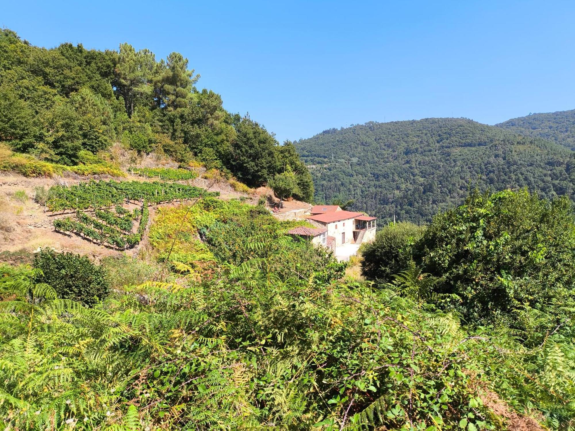 Xiravai-Ribeira Sacra Villa Peares Bagian luar foto