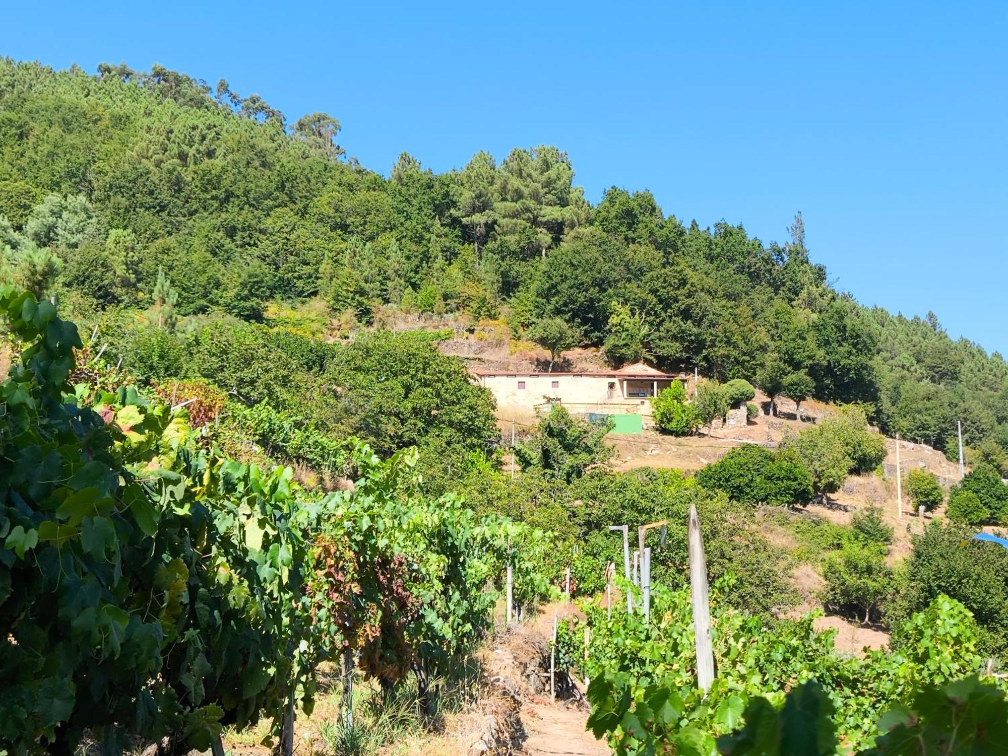 Xiravai-Ribeira Sacra Villa Peares Bagian luar foto